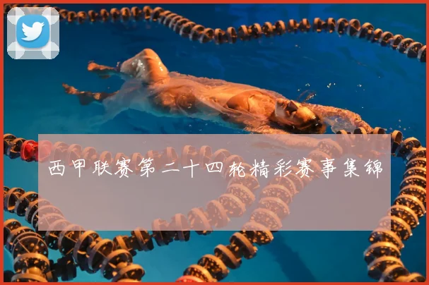 西甲联赛第二十四轮精彩赛事集锦