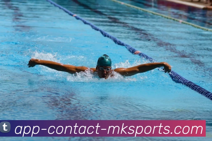 App Interface Preview