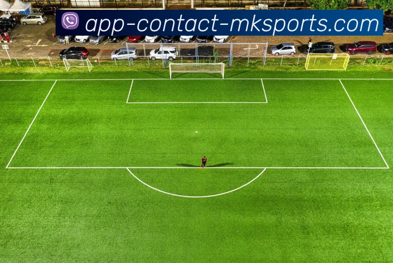 MK体育APPAPP 封面图